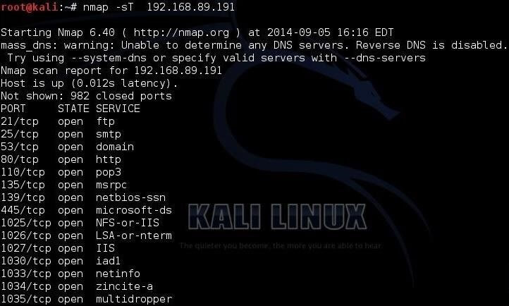 5 of the Most Popular Website Hacking Tools Found in Kali Linux
