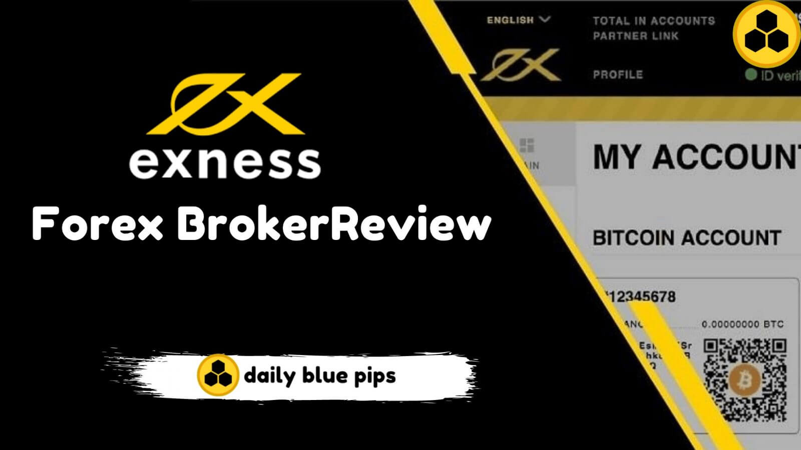 Exness Forex Trading Brokerage Services