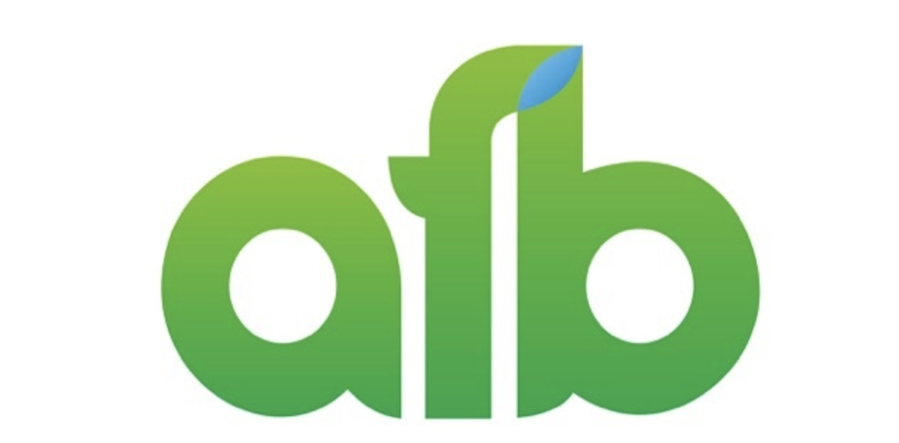 AFB Mobile Money Loans