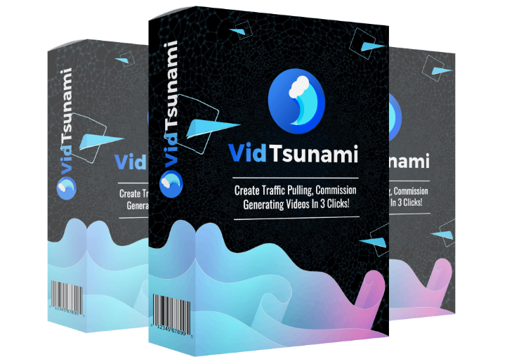 VidTsunami Review