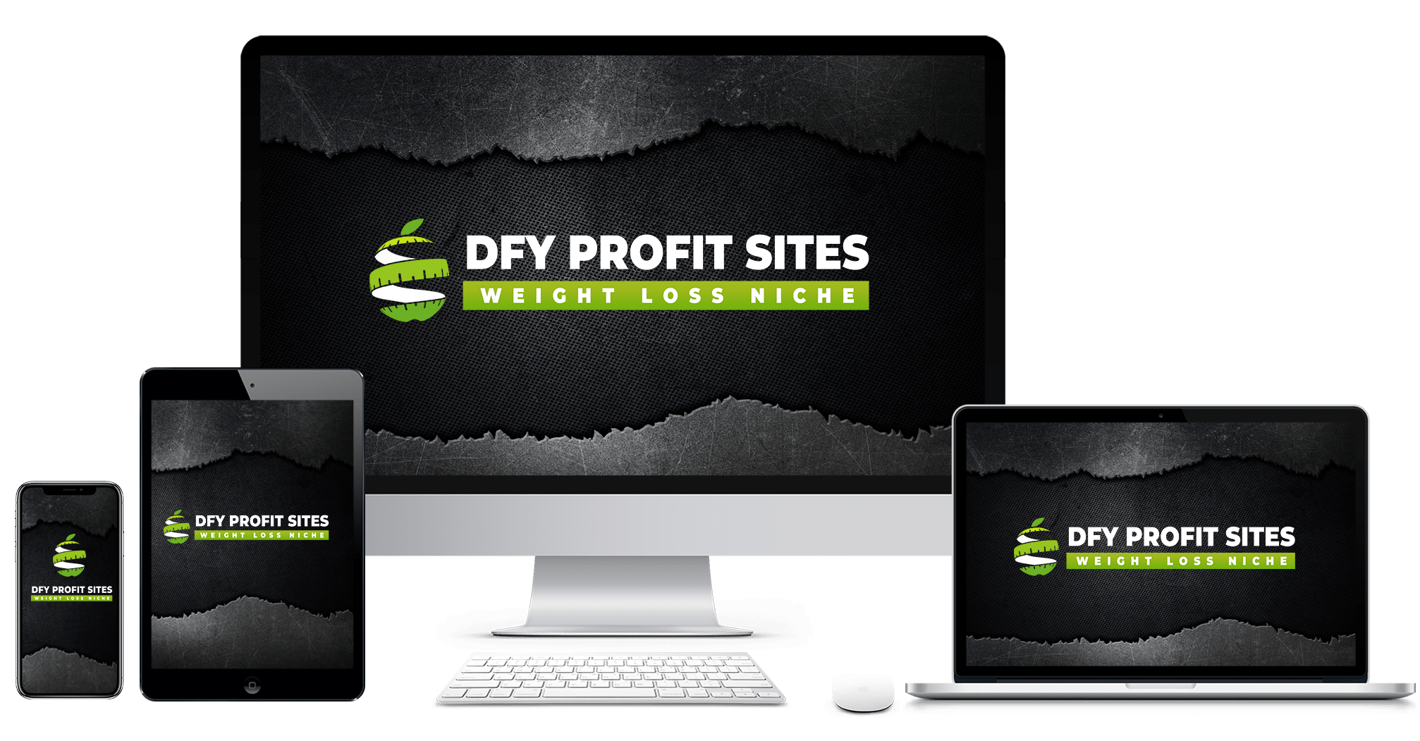 DFY Profit Sites Review