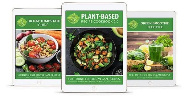 Plant Based Recipe Cookbook 2 Review