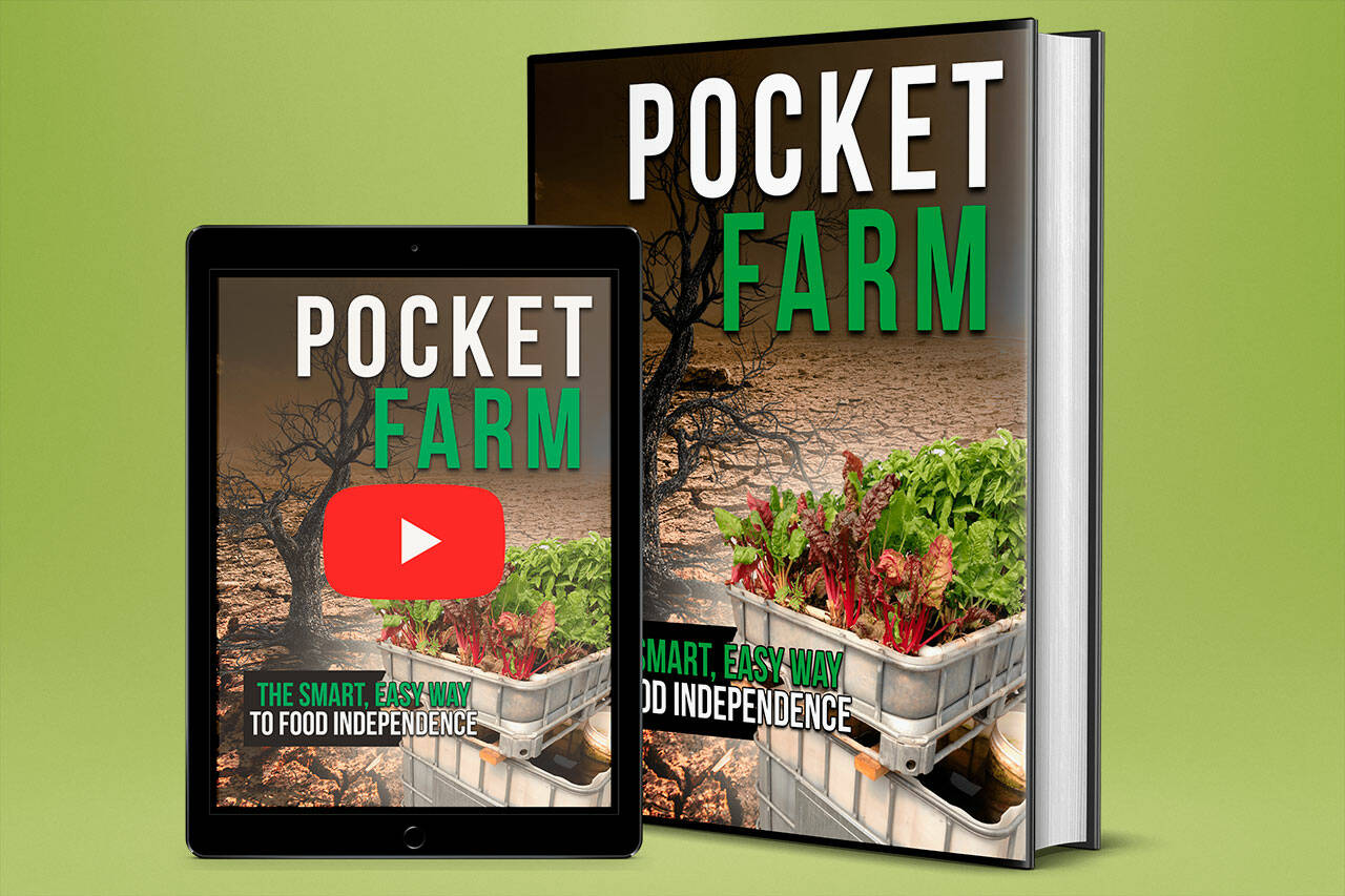 Pocket Farm Review