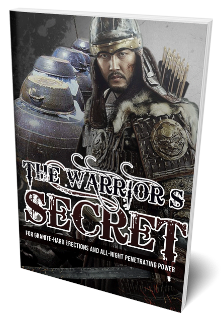 The Warrior's Secret review