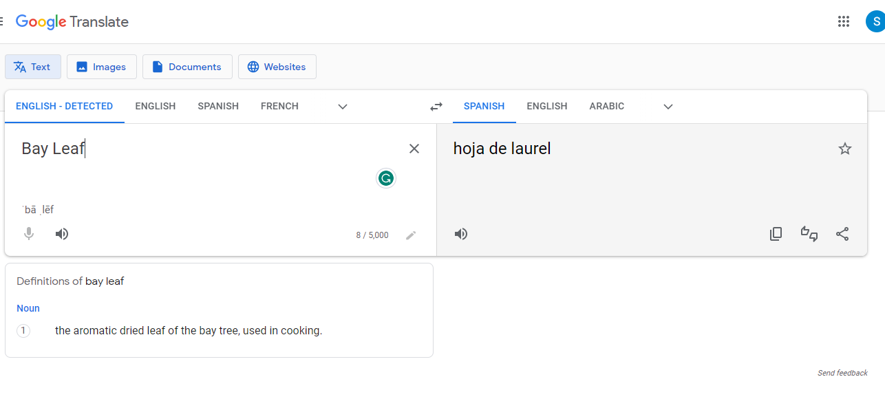 Bay Leaf in Spanish Google Translate