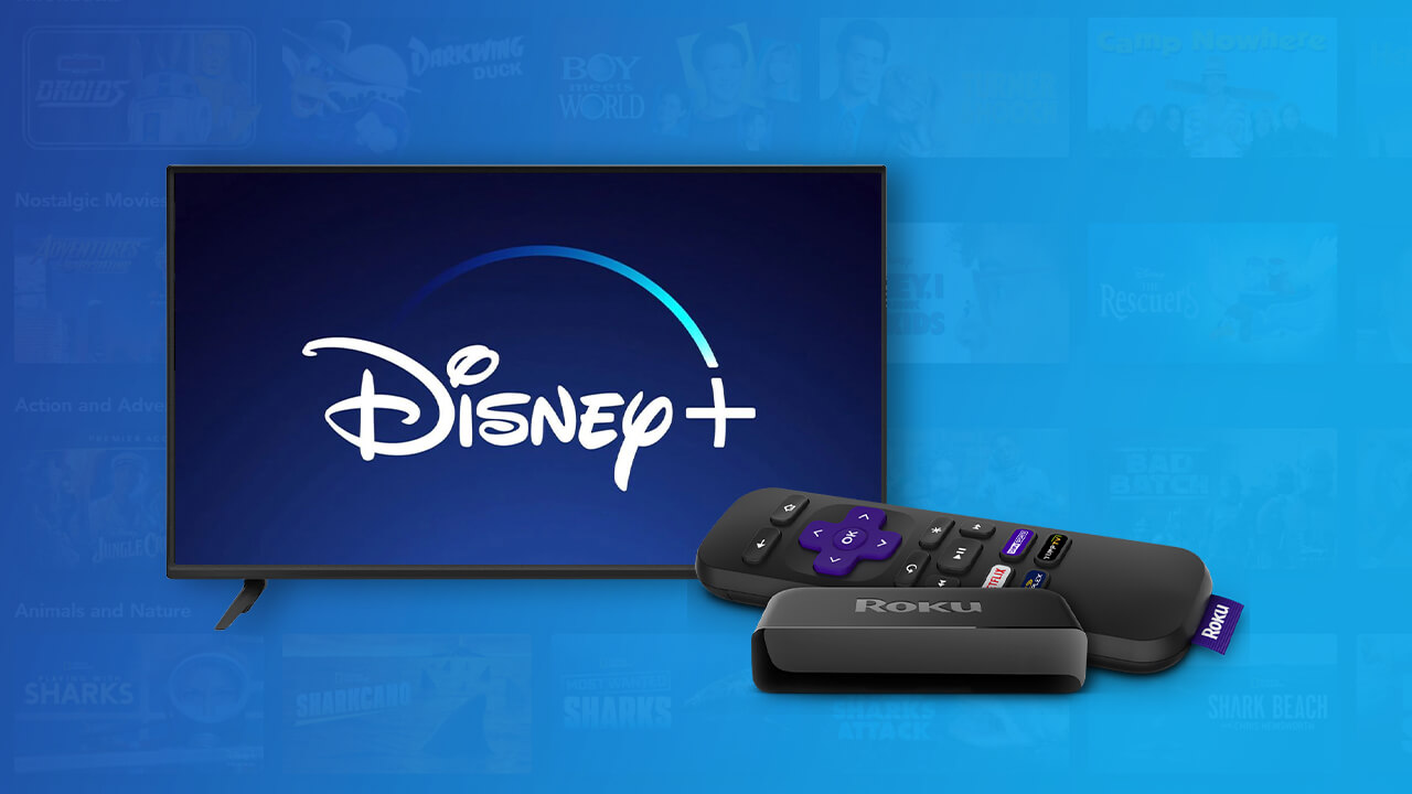 Disney Plus Not Working on Roku