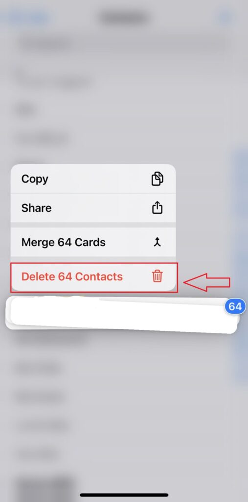 How to Delete All Contacts from Your iPhone
